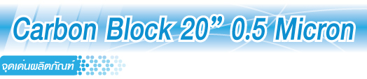 Carbon block 20