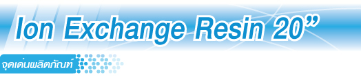 Ion Exchange Resin 20