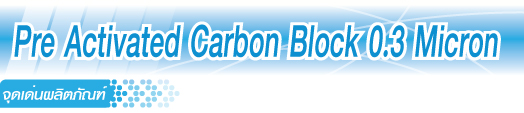 Pre Activated Carbon Block 0.3 Micron