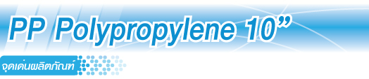 PP Polypropylene 10