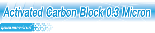 Activated Carbon Block 0.3 Micron