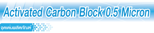 ไส้กรองน้ำคาร์บอน Carbon Block 0.5 Micron